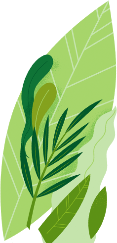 agriprimeindustries.kwacko.com