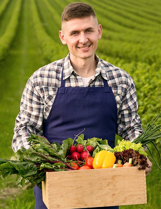 agriprimeindustries.kwacko.com