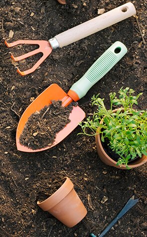 agriprimeindustries.kwacko.com