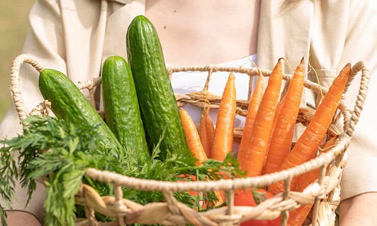 agriprimeindustries.kwacko.com