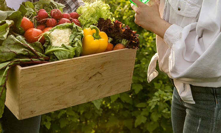 agriprimeindustries.kwacko.com