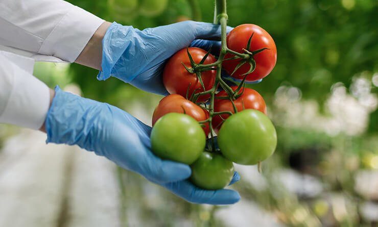 agriprimeindustries.kwacko.com