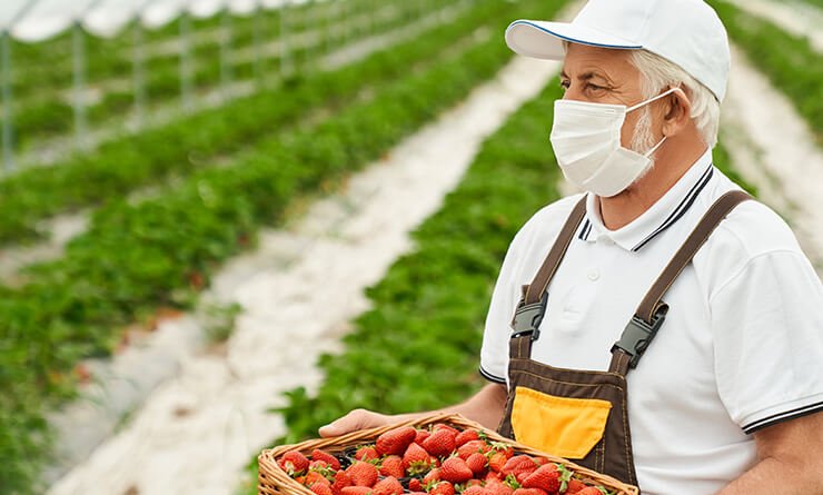 agriprimeindustries.kwacko.com