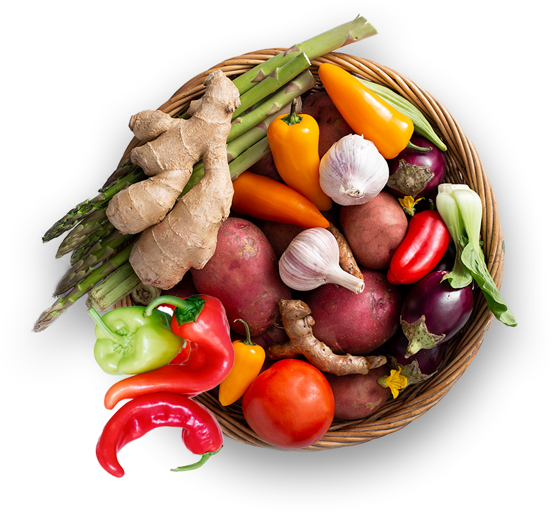 agriprimeindustries.kwacko.com